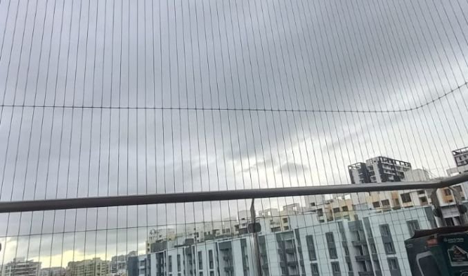 Pigeon Netwala in pune