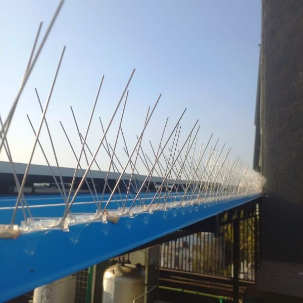 Bird Spikes Installation